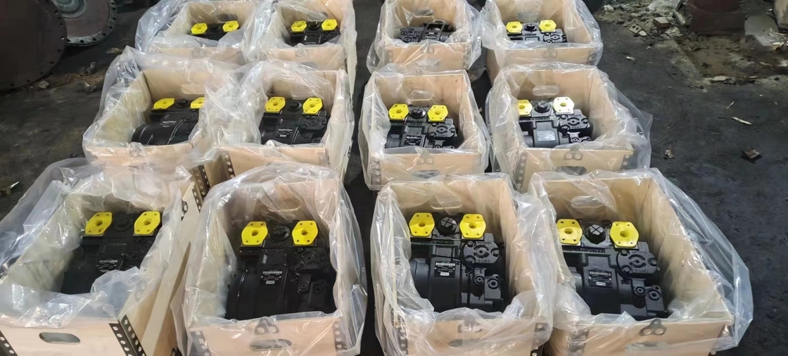 GCr15SiMn Hydraulic Pump Parts for Long Life and Performance in Rexroth Pumps