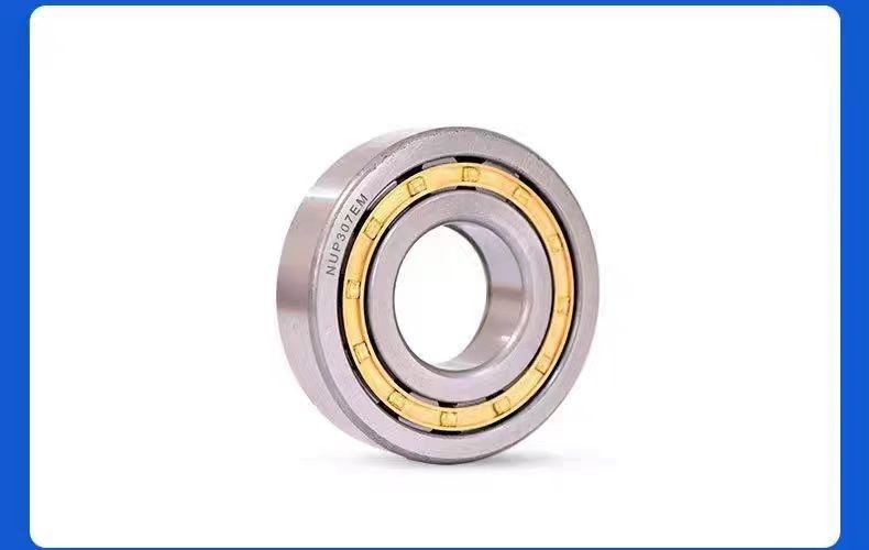 NU305M Cylindrical Roller Bearing with Single Row Design and Large Production Capability