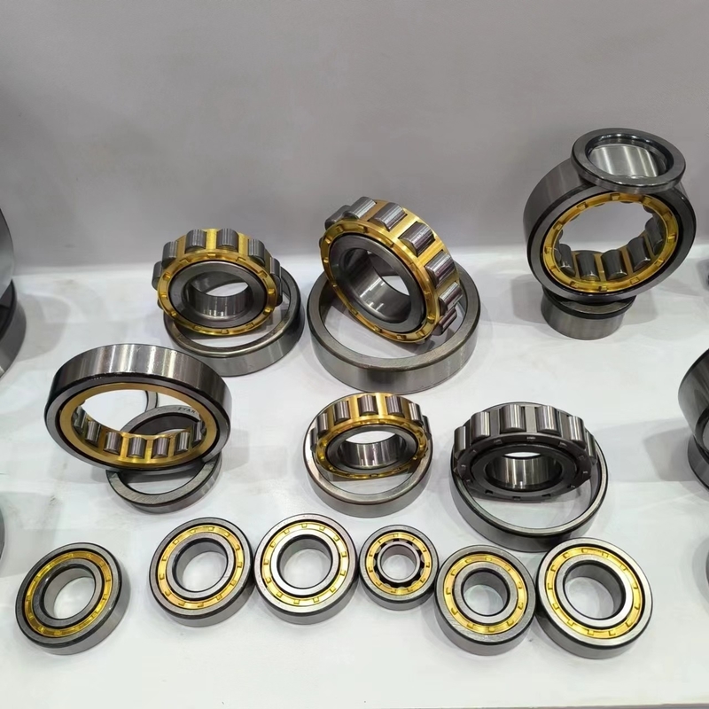 Building Material Shops Cylindrical Roller Bearing RN205M for Cycloidal Gear Reducers